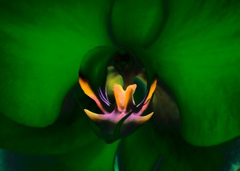 F 037B